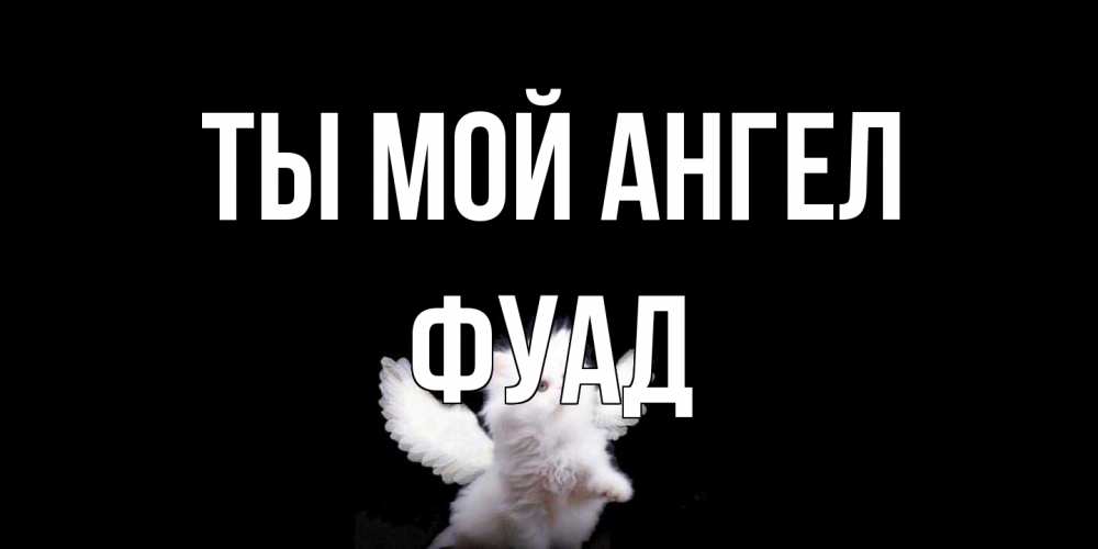 Открытка на каждый день с именем, Фуад Ты мой ангел Кот ангел Прикольная открытка с пожеланием онлайн скачать бесплатно 