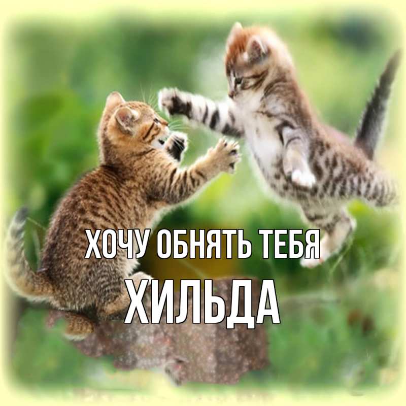 Картинка Хочу обнять тебя, Хильда