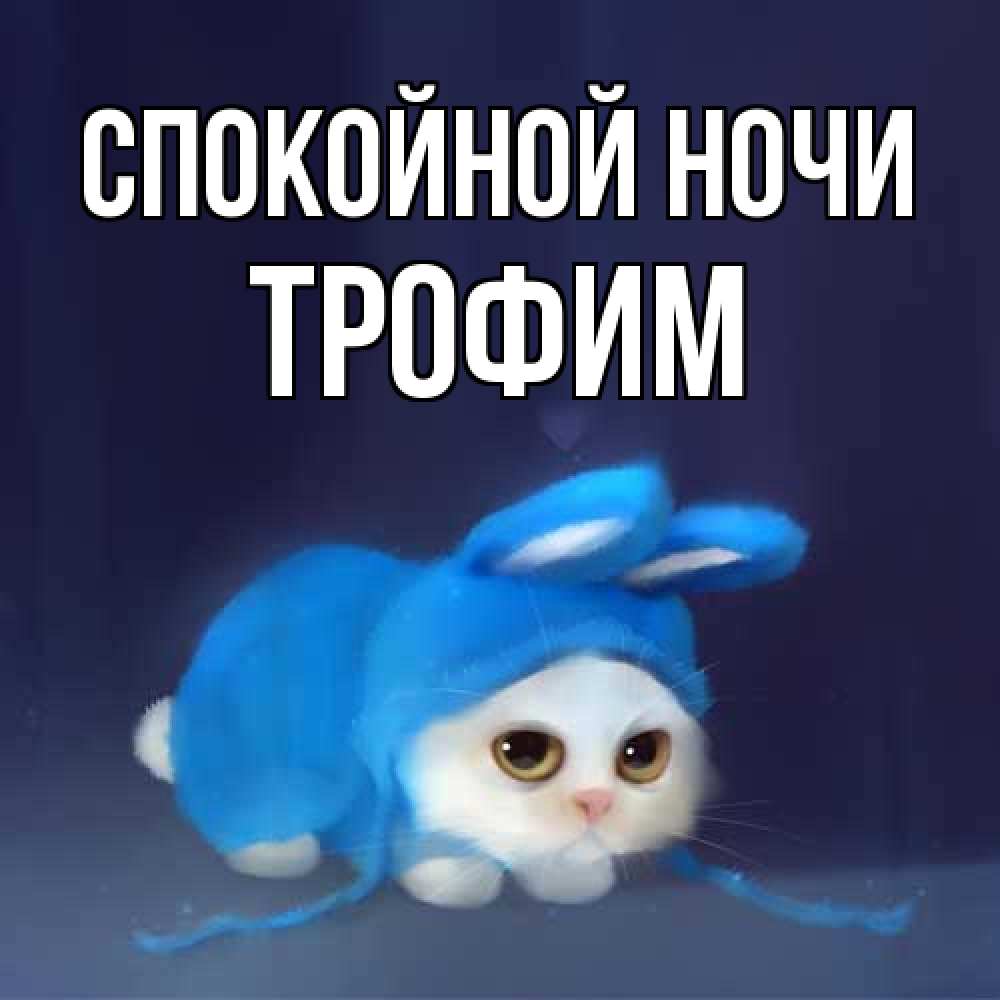 Открытка на каждый день с именем, Трофим Спокойной ночи кот в голубом костюме кролика с ушками Прикольная открытка с пожеланием онлайн скачать бесплатно 