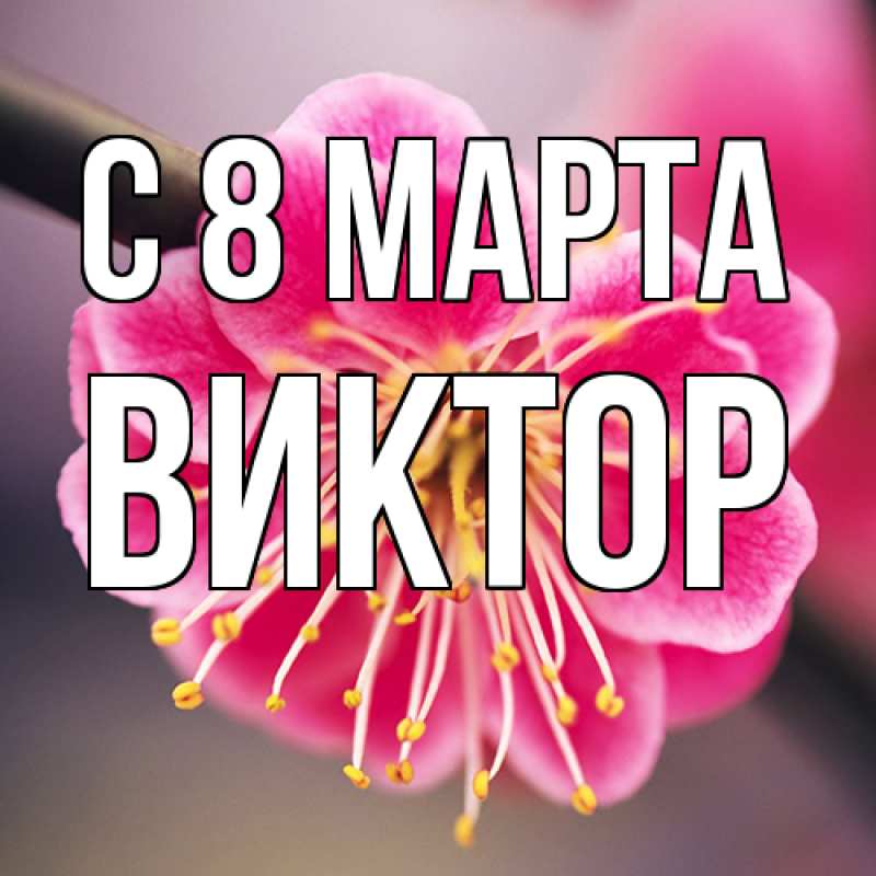 Картинка C 8 МАРТА, Виктор