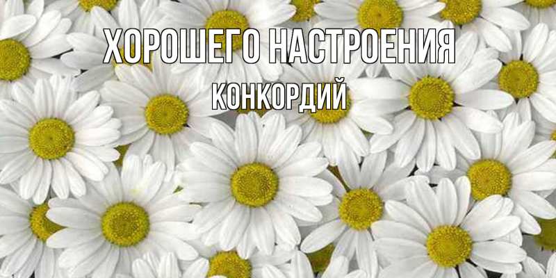 Картинка Хорошего настроения, Конкордий