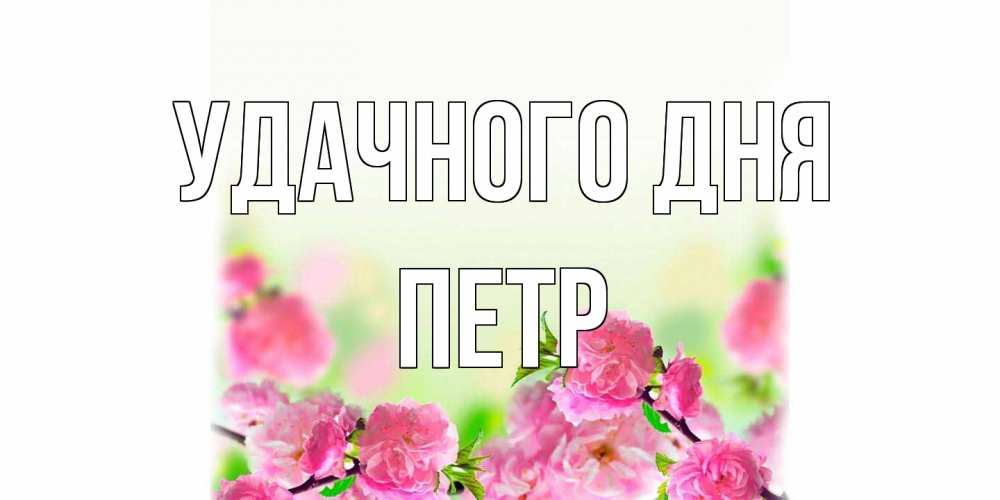 Открытка на каждый день с именем, Петр Удачного дня цветы Прикольная открытка с пожеланием онлайн скачать бесплатно 