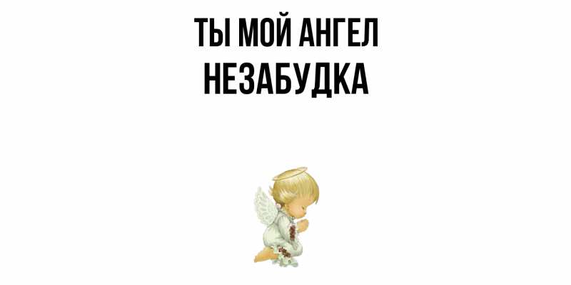 Картинка Ты мой ангел, Незабудка