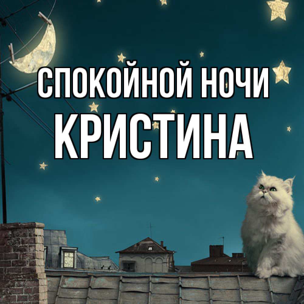 Открытка на каждый день с именем, Кристина Спокойной ночи белый кот сидит на крыше Прикольная открытка с пожеланием онлайн скачать бесплатно 