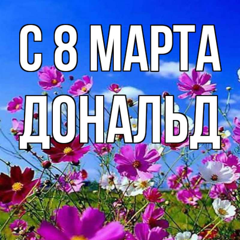 Картинка C 8 МАРТА, Дональд