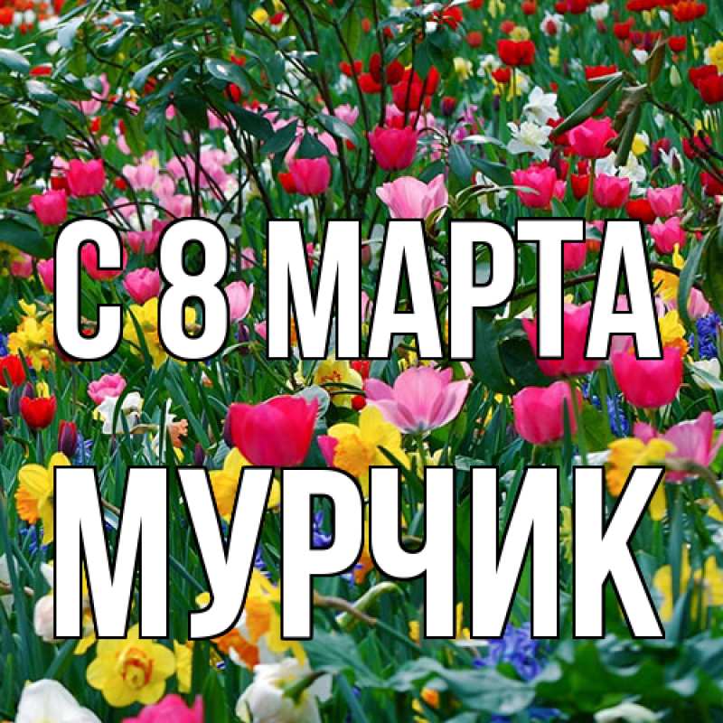 Картинка C 8 МАРТА, Мурчик