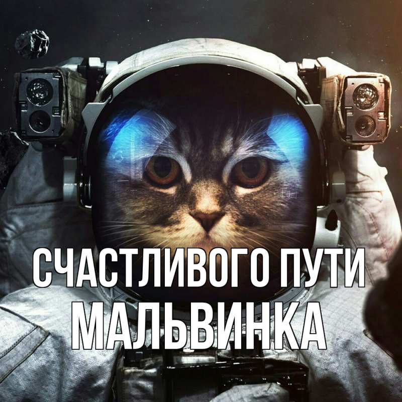 Картинка Счастливого пути, мальвинка