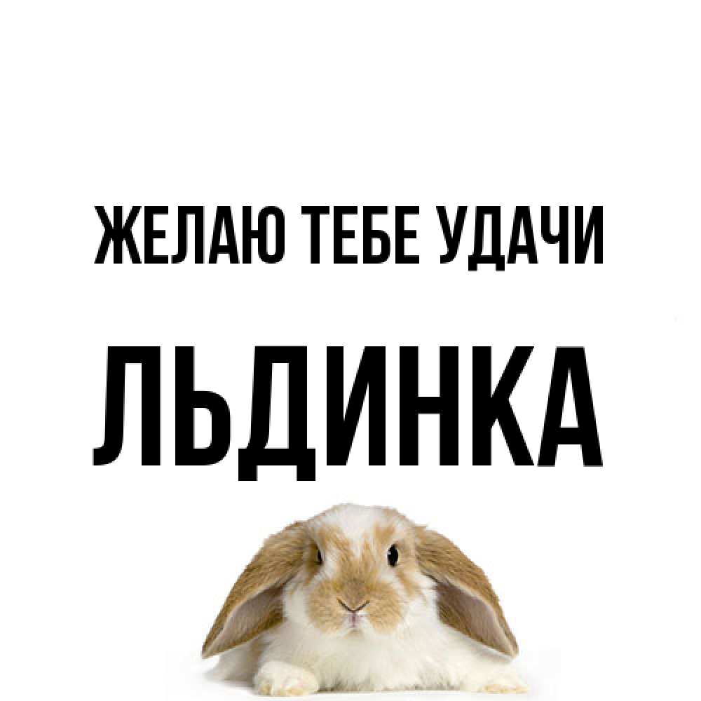 Открытка на каждый день с именем, льдинка Желаю тебе удачи открытки с произвольным текстом который можно вставить в открытку и создать ее самостоятельно бесплатно онлайн Прикольная открытка с пожеланием онлайн скачать бесплатно 