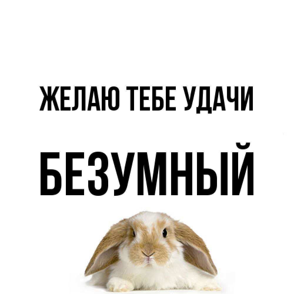 Открытка на каждый день с именем, Безумный Желаю тебе удачи открытки с произвольным текстом который можно вставить в открытку и создать ее самостоятельно бесплатно онлайн Прикольная открытка с пожеланием онлайн скачать бесплатно 