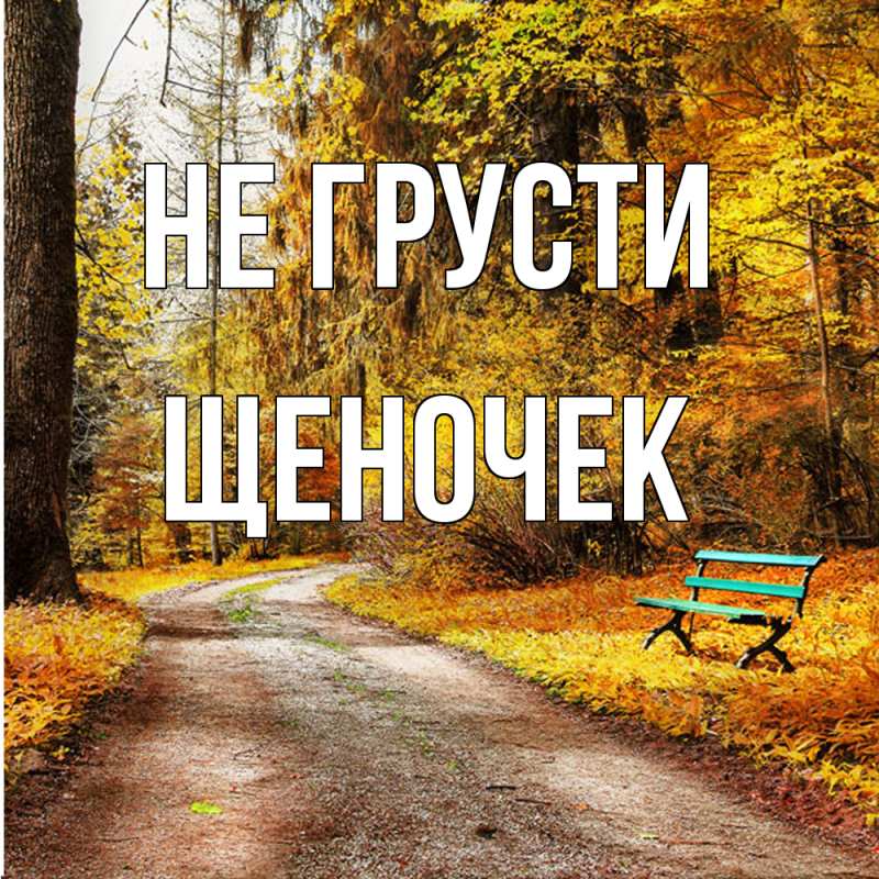 Картинка Не грусти, Щеночек