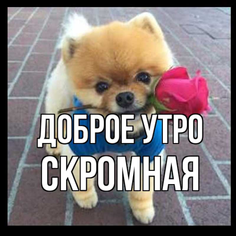 Картинка Доброе утро, скромная