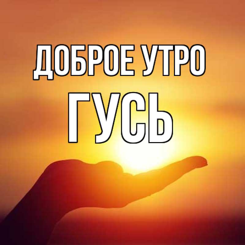 Картинка Доброе утро, Гусь