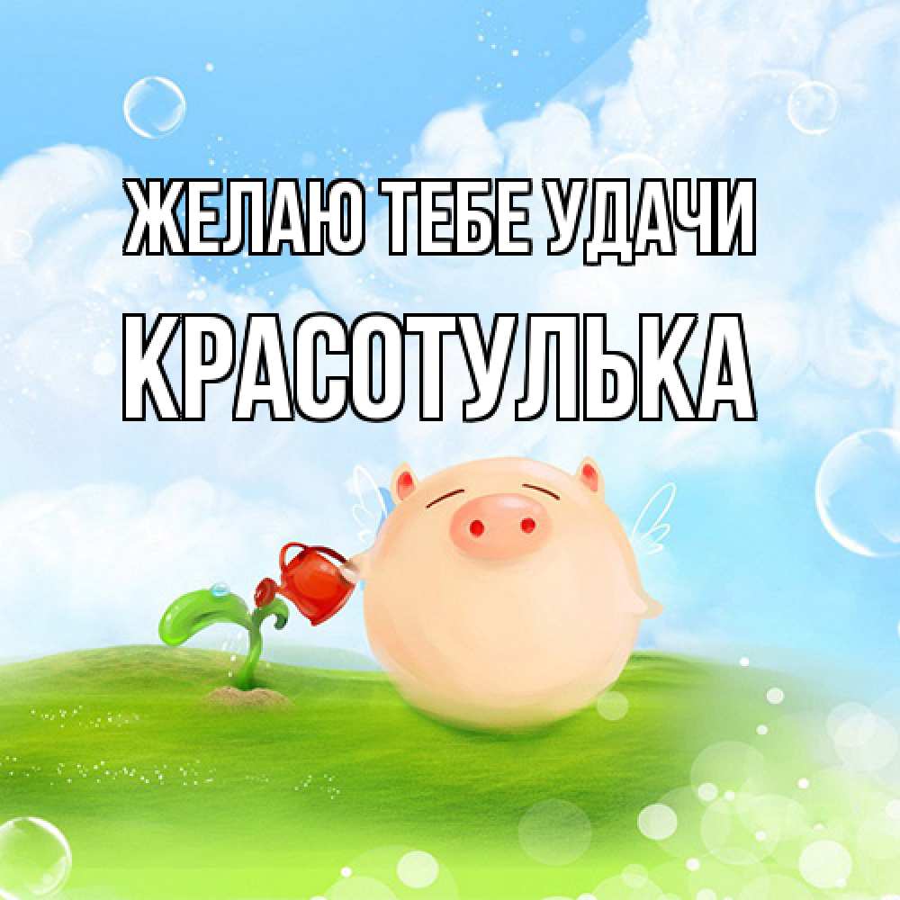 Открытка на каждый день с именем, красотулька Желаю тебе удачи поросенок поливает цветок. летнее настроение Прикольная открытка с пожеланием онлайн скачать бесплатно 