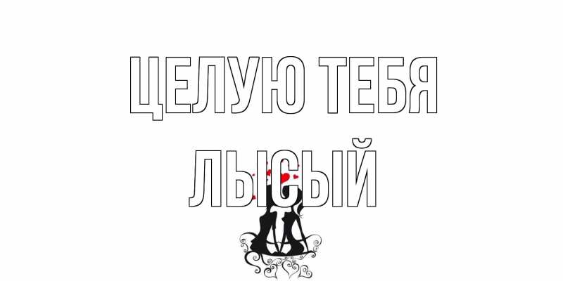 Картинка Целую тебя, Лысый