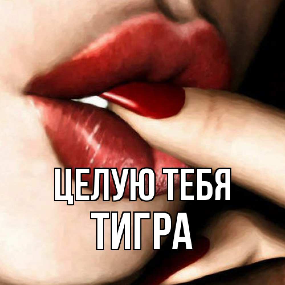 Открытка на каждый день с именем, Тигра Целую тебя открытка целую тебя для парня Прикольная открытка с пожеланием онлайн скачать бесплатно 