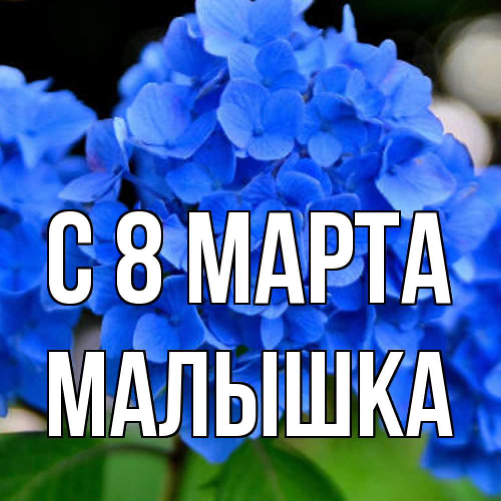 Открытка на каждый день с именем, малышка C 8 МАРТА синие цветы Прикольная открытка с пожеланием онлайн скачать бесплатно 