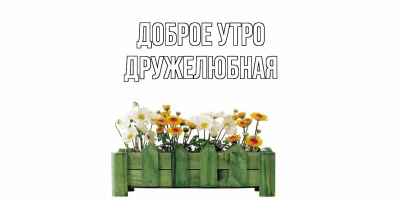 Картинка Доброе утро, Дружелюбная