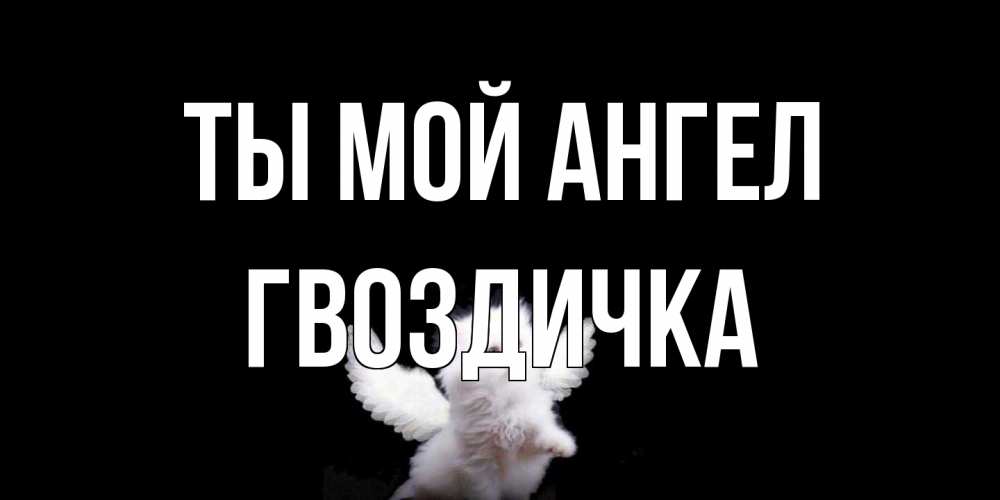 Открытка на каждый день с именем, Гвоздичка Ты мой ангел Кот ангел Прикольная открытка с пожеланием онлайн скачать бесплатно 