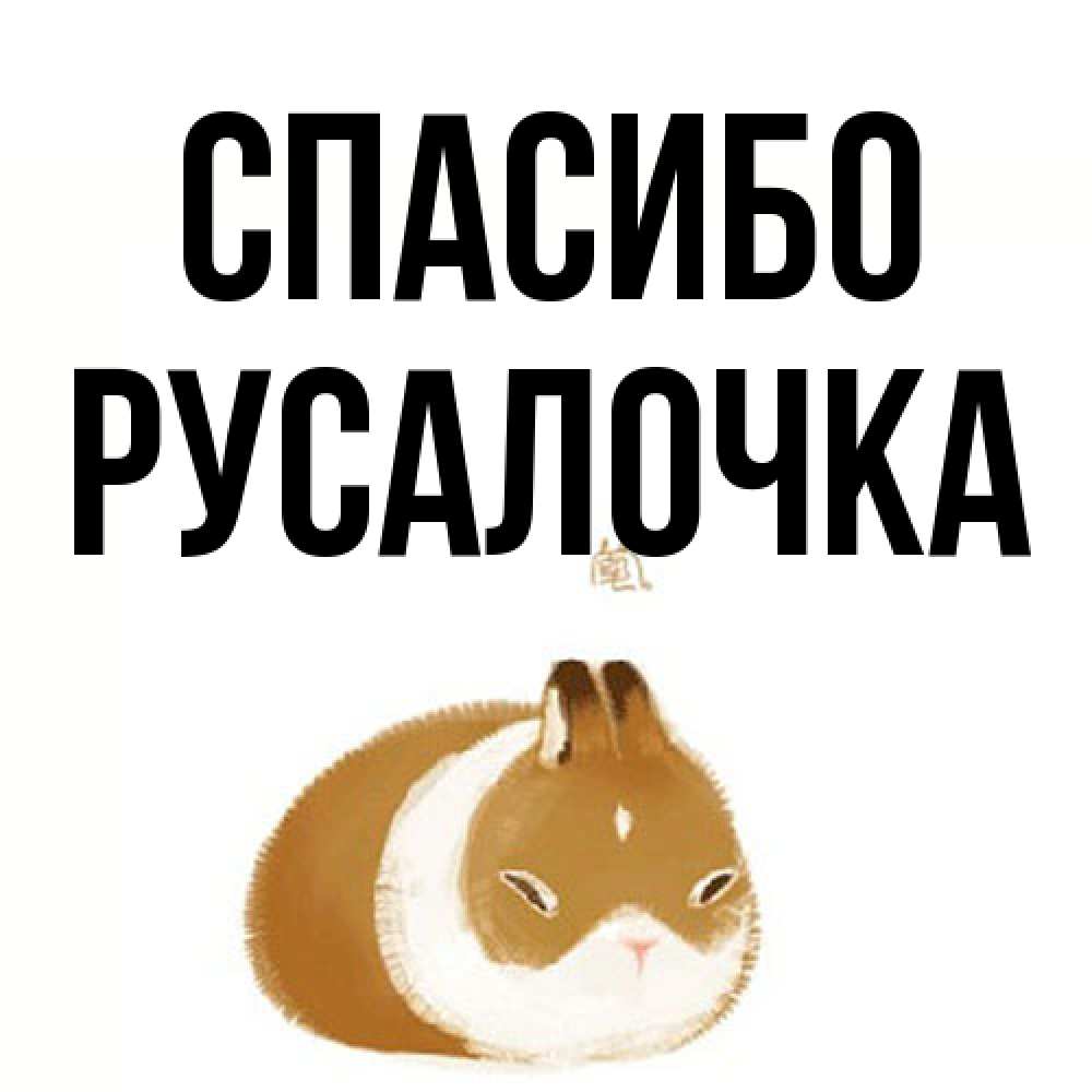 Открытка на каждый день с именем, Русалочка Спасибо коричнево белый домашний питомец Прикольная открытка с пожеланием онлайн скачать бесплатно 