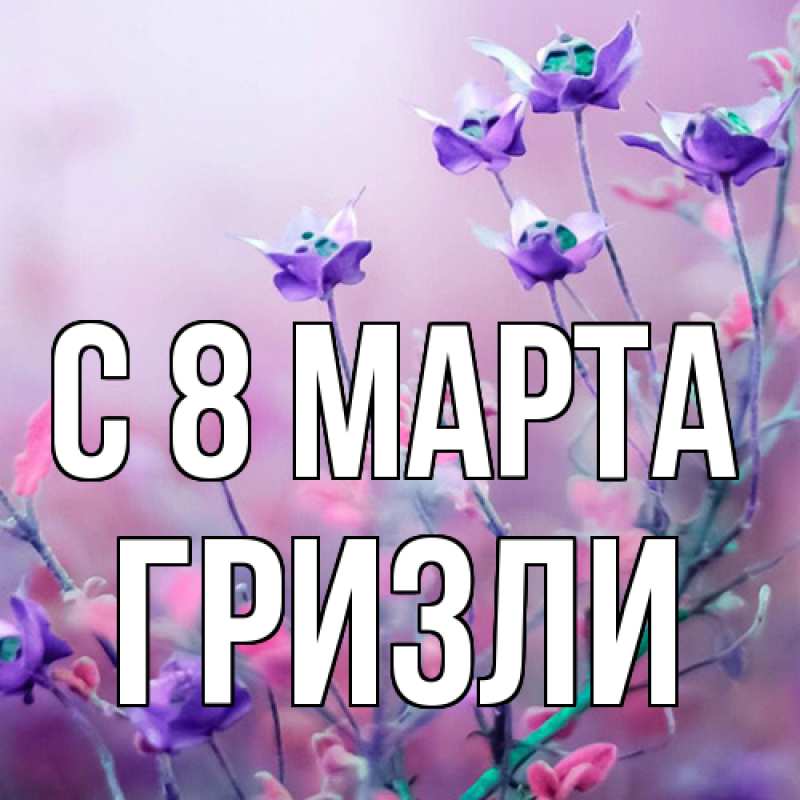 Картинка C 8 МАРТА, Гризли