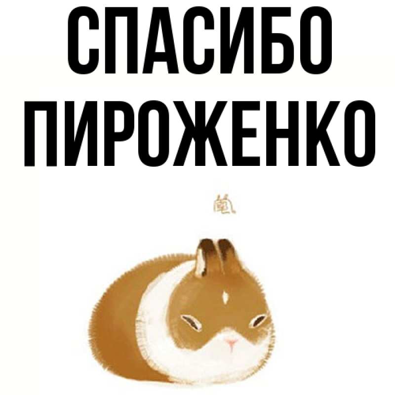 Картинка Спасибо, Пироженко