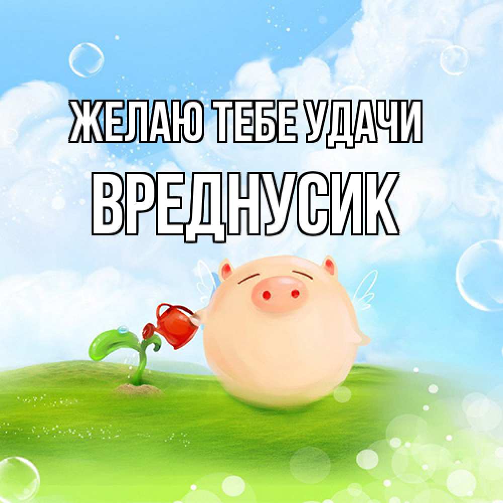 Открытка на каждый день с именем, Вреднусик Желаю тебе удачи поросенок поливает цветок. летнее настроение Прикольная открытка с пожеланием онлайн скачать бесплатно 