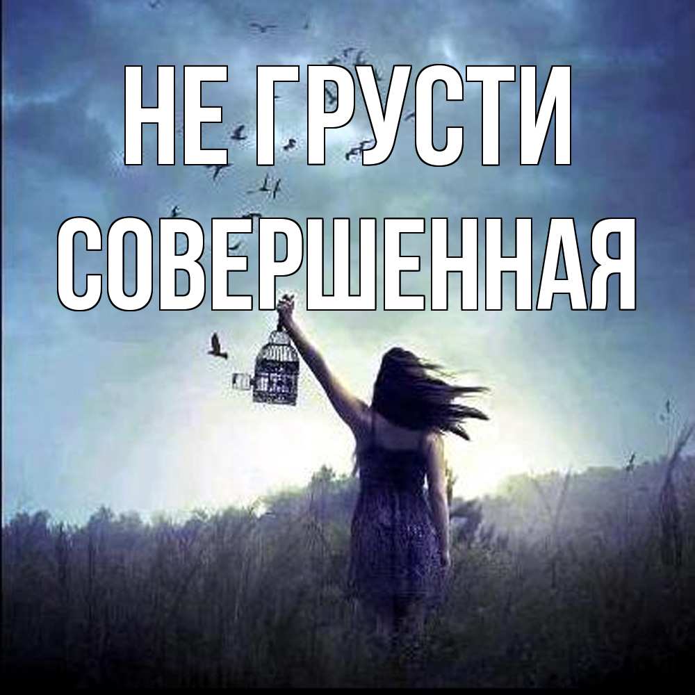 Открытка на каждый день с именем, Совершенная Не грусти на волю Прикольная открытка с пожеланием онлайн скачать бесплатно 