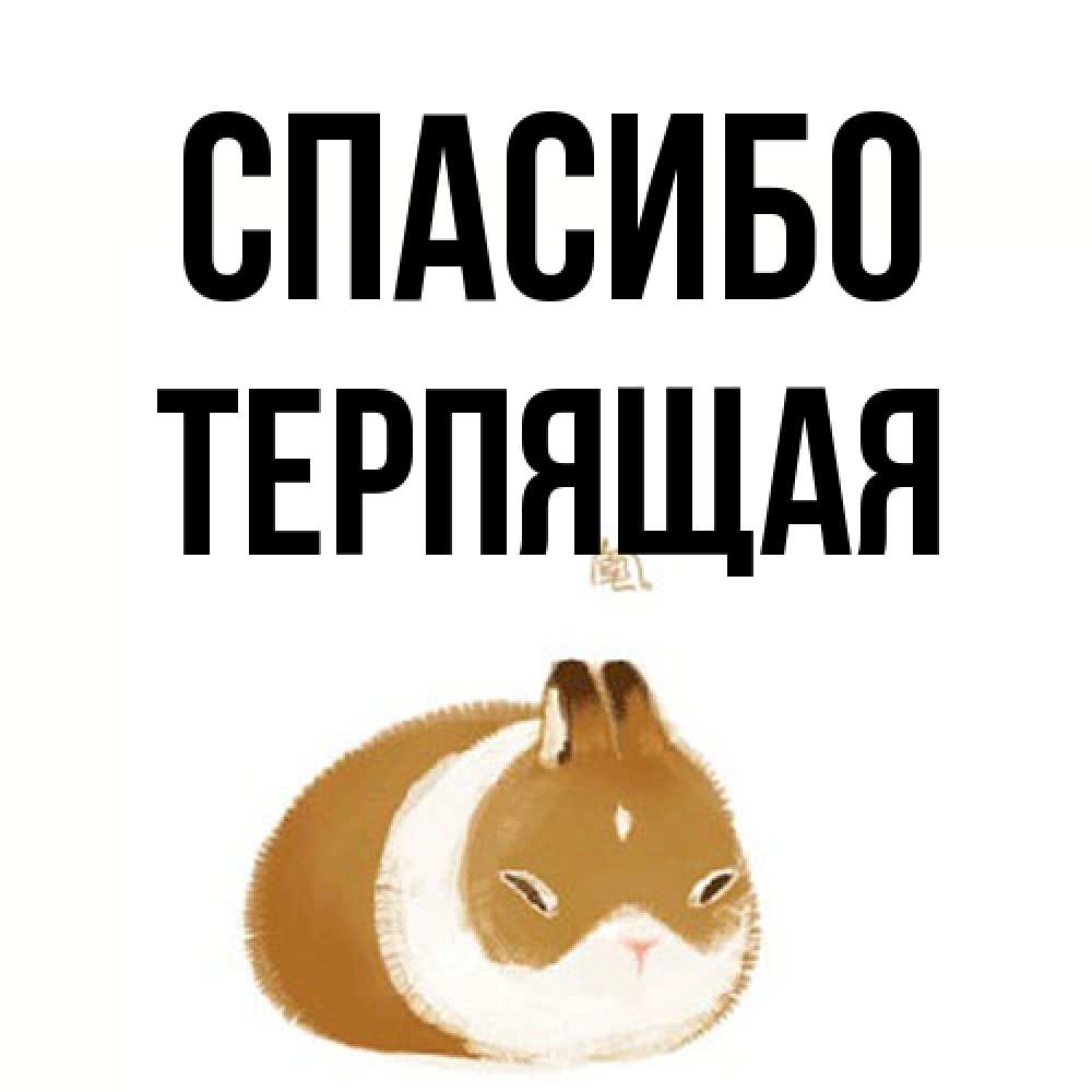 Открытка на каждый день с именем, Теpпящая Спасибо коричнево белый домашний питомец Прикольная открытка с пожеланием онлайн скачать бесплатно 
