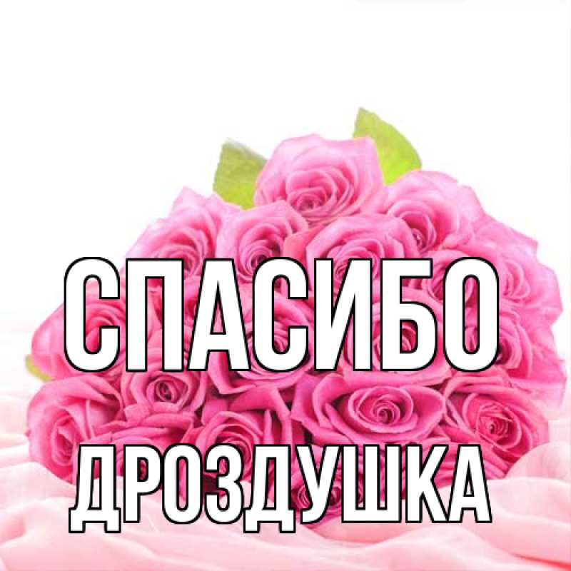 Картинка Спасибо, Дроздушка