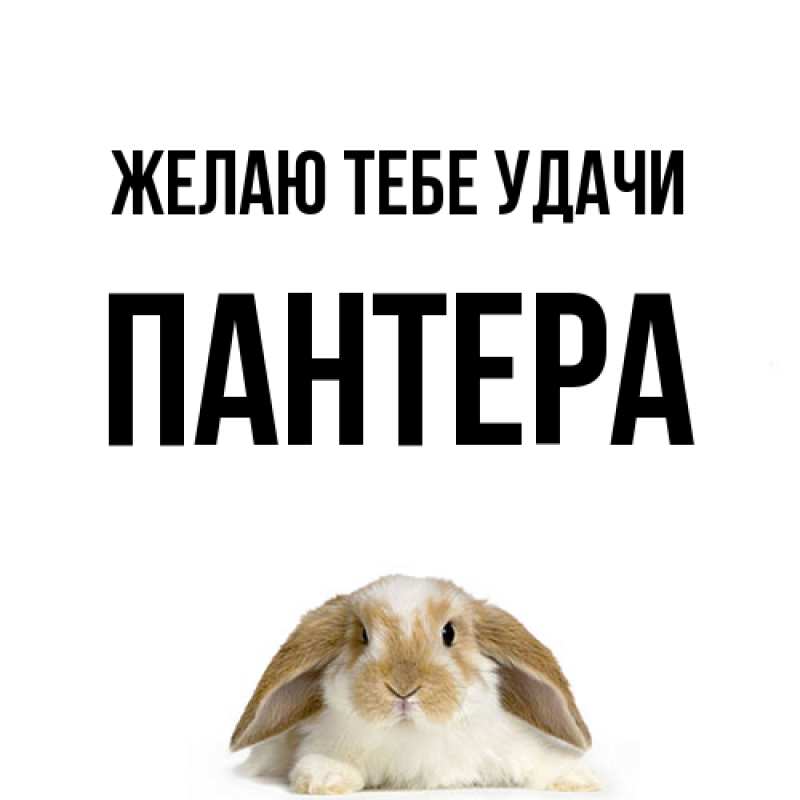 Картинка Желаю тебе удачи, Пантера