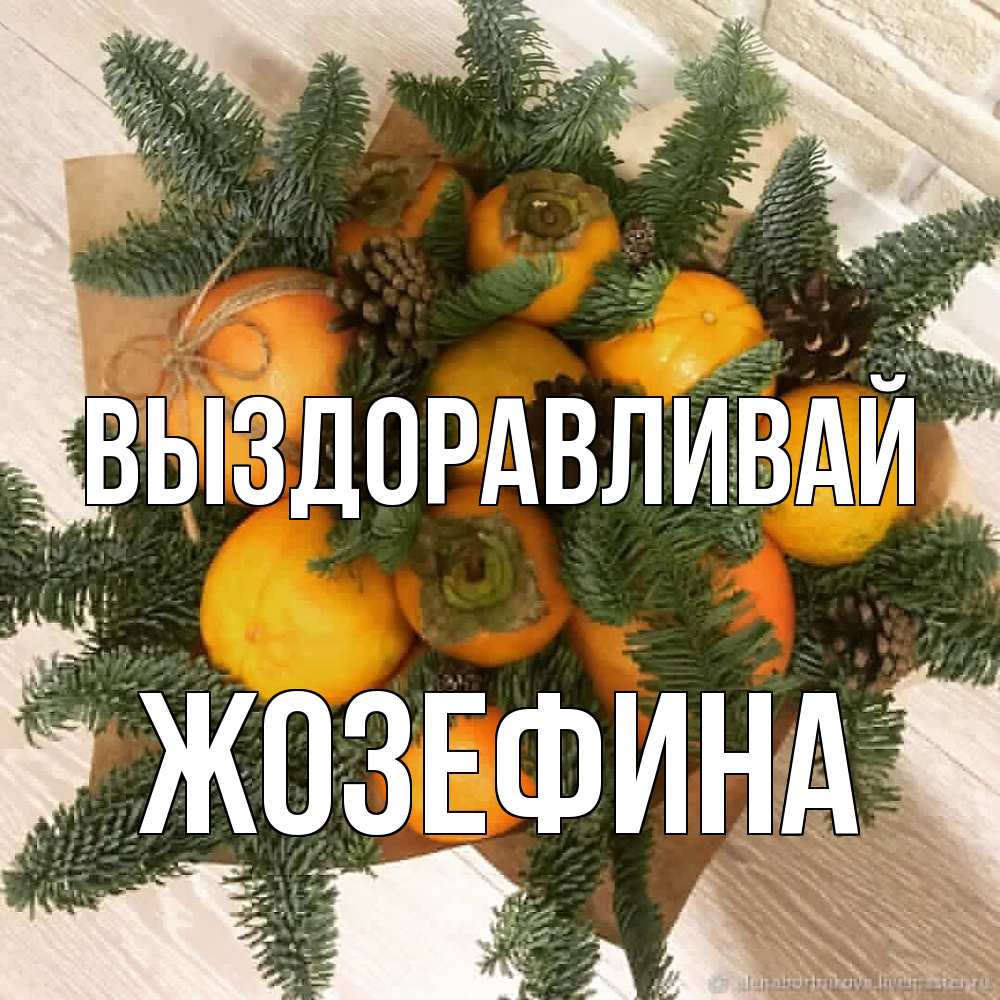 Открытка на каждый день с именем, Жозефина Выздоравливай апельсины и хурьма Прикольная открытка с пожеланием онлайн скачать бесплатно 