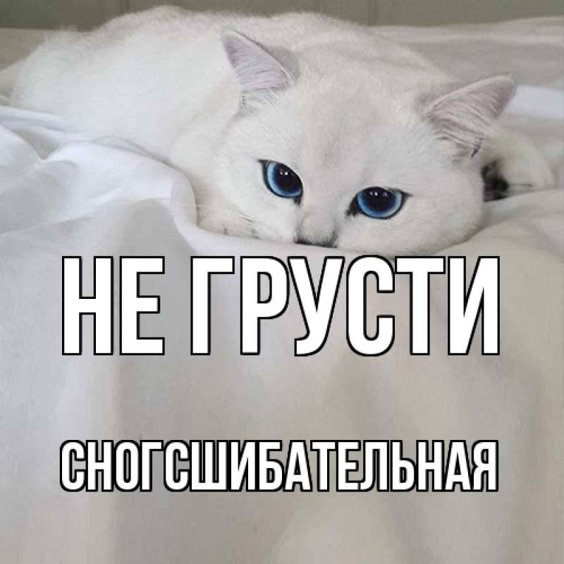 Картинка Не грусти, сногсшибательная