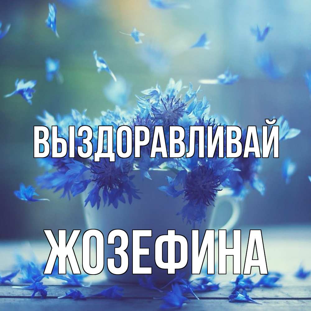 Открытка на каждый день с именем, Жозефина Выздоравливай кружка с зельем и цветами Прикольная открытка с пожеланием онлайн скачать бесплатно 