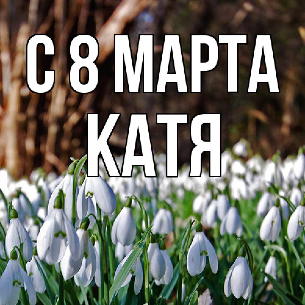 Открытка на каждый день с именем, Катя C 8 МАРТА с подснежниками 1 Прикольная открытка с пожеланием онлайн скачать бесплатно 