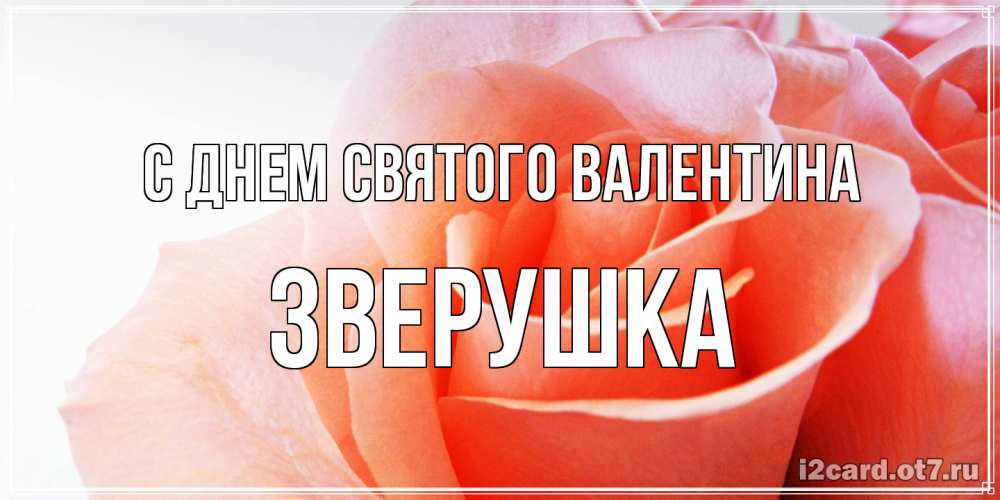 Открытка на каждый день с именем, Зверушка С днем Святого Валентина открытка на день Святого Валентина с розовой розой Прикольная открытка с пожеланием онлайн скачать бесплатно 