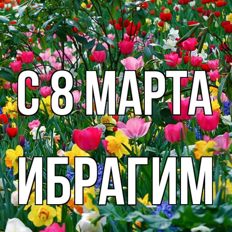 Картинка C 8 МАРТА, Ибрагим