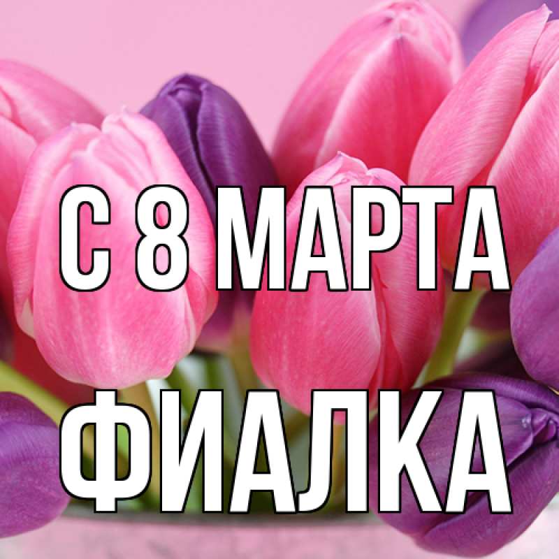 Картинка C 8 МАРТА, Фиалка