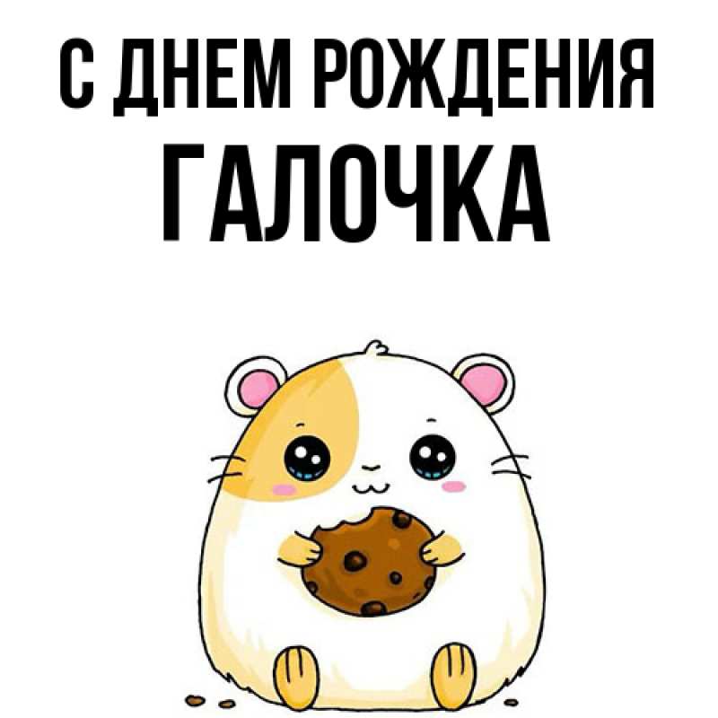 Картинка С днем рождения, Галочка