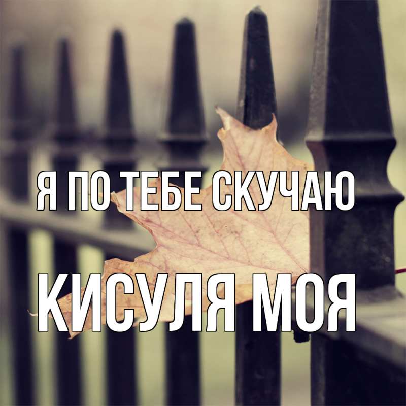 Картинка Я по тебе скучаю, Кисуля моя