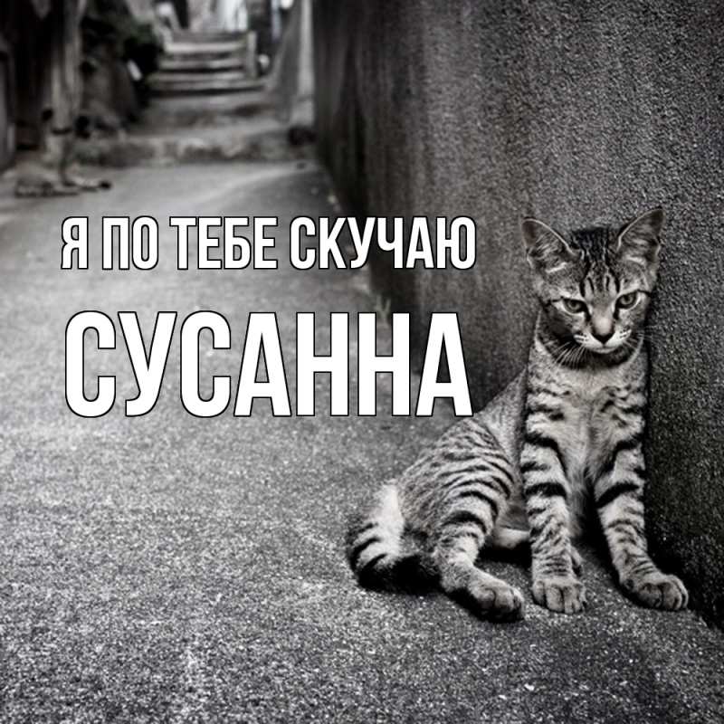 Картинка Я по тебе скучаю, Сусанна