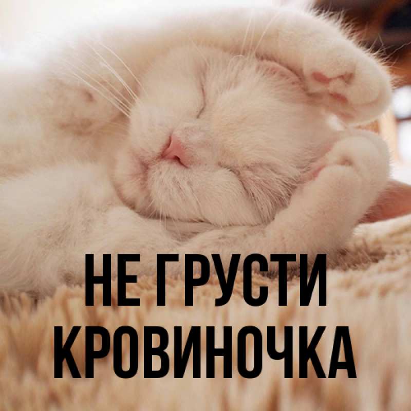 Картинка Не грусти, кровиночка