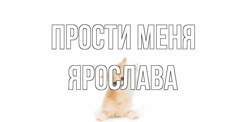 Открытка на каждый день с именем, Ярослава Прости меня кот Прикольная открытка с пожеланием онлайн скачать бесплатно 
