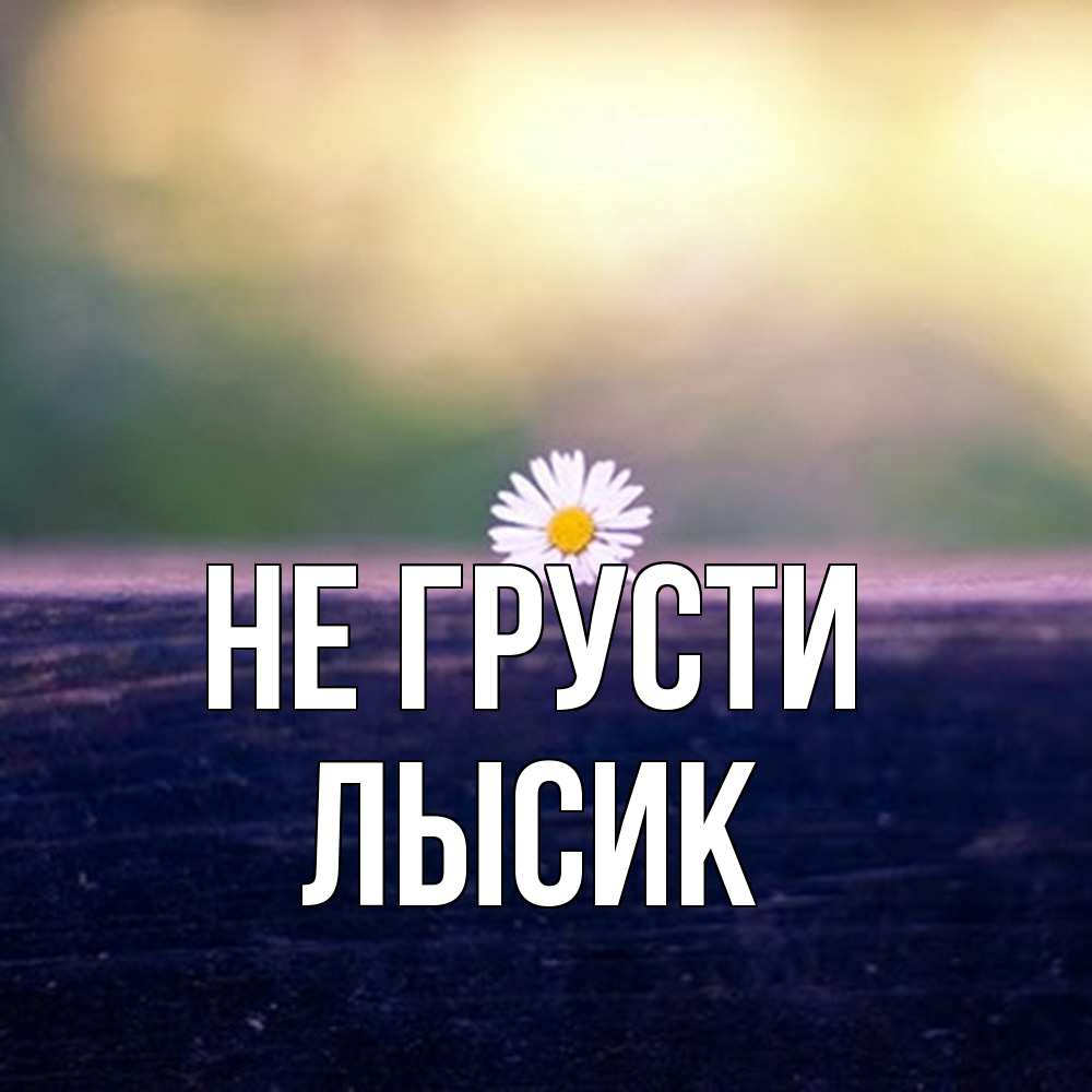 Открытка на каждый день с именем, Лысик Не грусти красота Прикольная открытка с пожеланием онлайн скачать бесплатно 