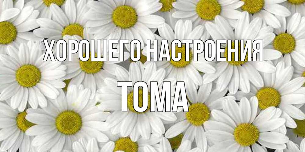 Открытка на каждый день с именем, Тома Хорошего настроения поляна ромашек Прикольная открытка с пожеланием онлайн скачать бесплатно 