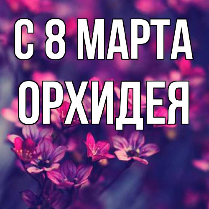 Картинка C 8 МАРТА, Орхидея