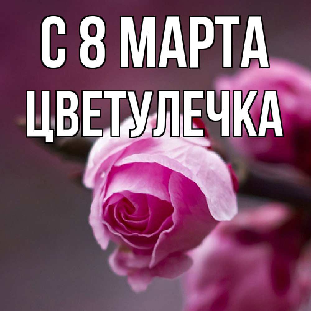 Открытка на каждый день с именем, Цветулечка C 8 МАРТА весна Прикольная открытка с пожеланием онлайн скачать бесплатно 