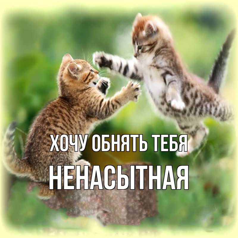 Картинка Хочу обнять тебя, Ненасытная