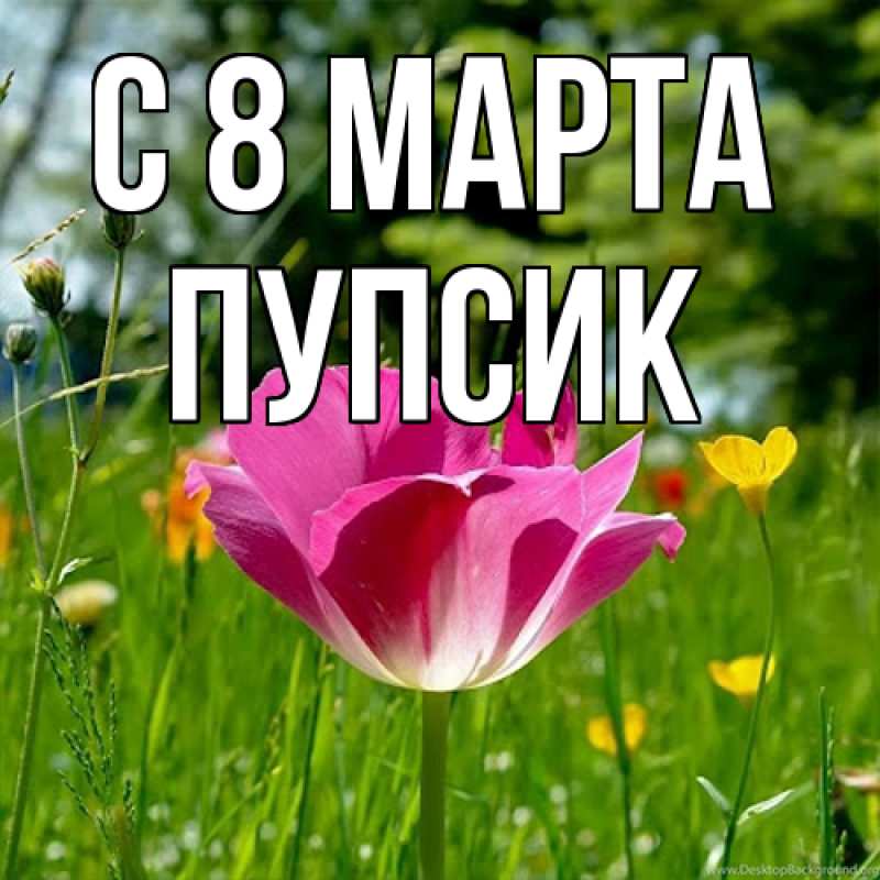Картинка C 8 МАРТА, пупсик