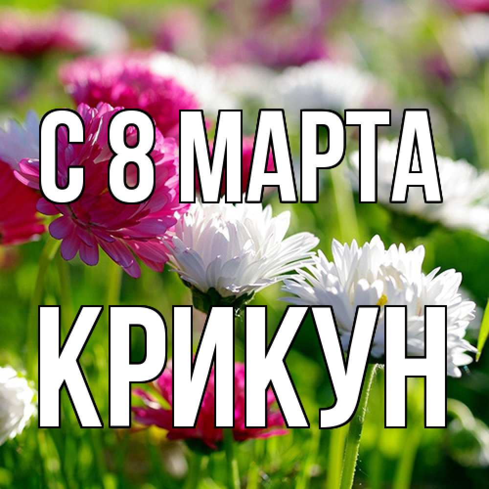 Открытка на каждый день с именем, Крикун C 8 МАРТА международный женский день 1 Прикольная открытка с пожеланием онлайн скачать бесплатно 