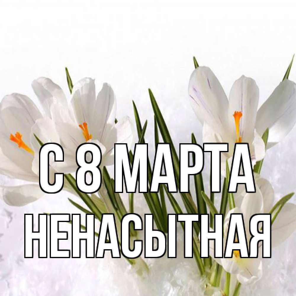 Открытка на каждый день с именем, Ненасытная C 8 МАРТА под снегом Прикольная открытка с пожеланием онлайн скачать бесплатно 